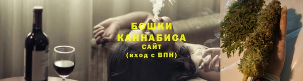 сатива Нягань