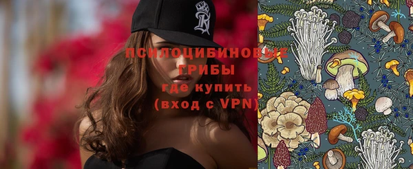 ГАЛЛЮЦИНОГЕННЫЕ ГРИБЫ Остров