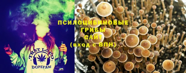 винт Няндома