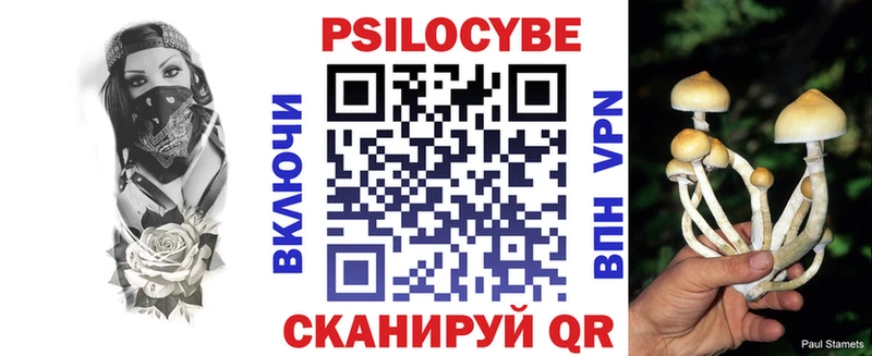 Псилоцибиновые грибы прущие грибы Электроугли